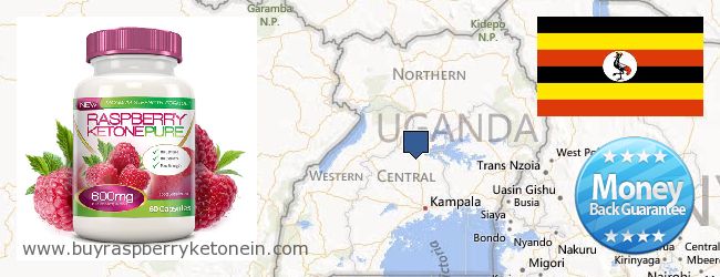 Où Acheter Raspberry Ketone en ligne Uganda